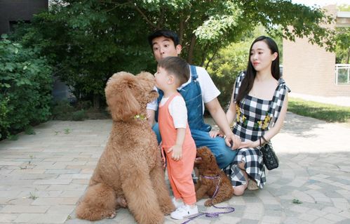 狗狗當“家教” 萌寵叼衣架監督小主人寫作業，神似操心老母親